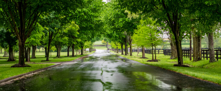 Rainy wet road in Kentucky